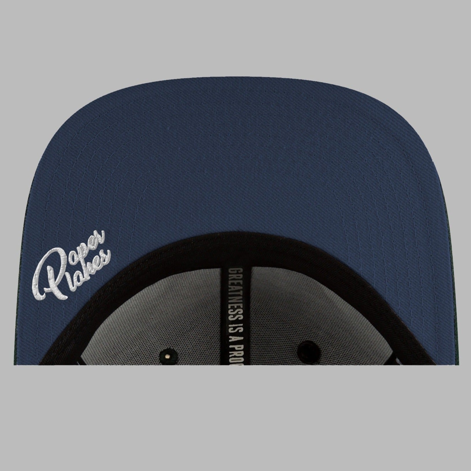 PAPER PLANES - SCRIPTED MANTRA RETRO SNAPBACK W/ CONTRAST UNDERVISOR