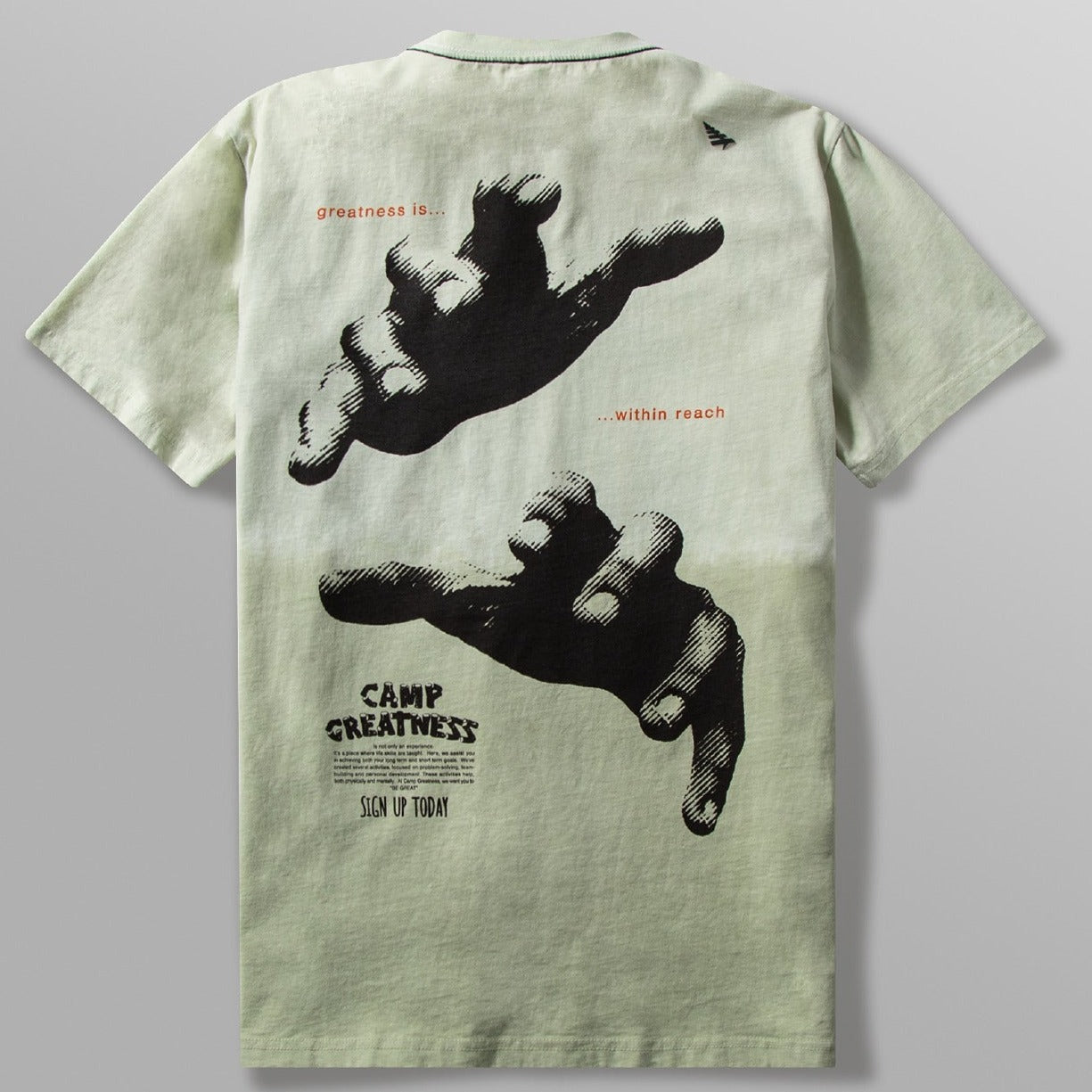PAPER PLANES - GREATNESS WITHIN REACH TEE - SAGE