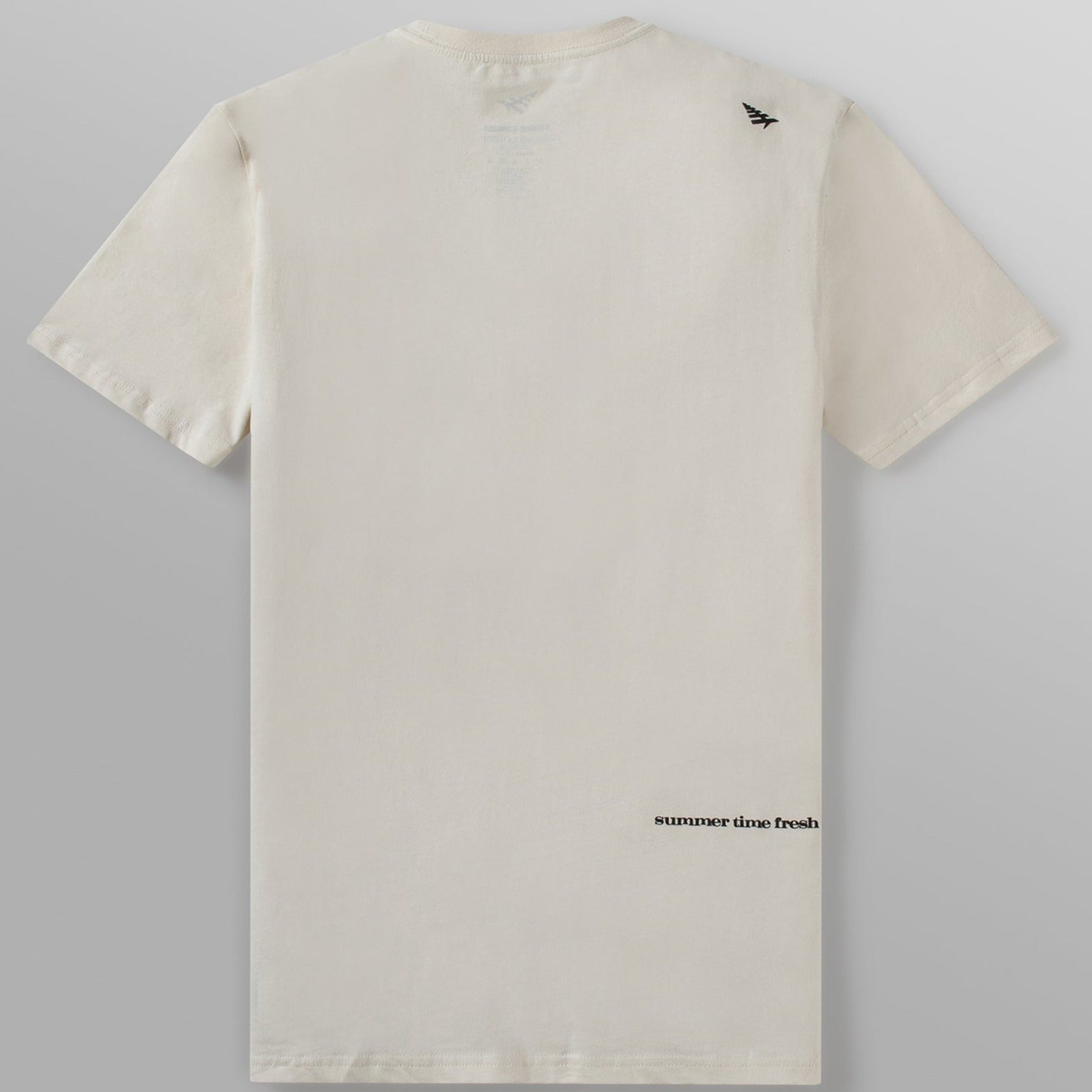 PAPER PLANES - DEAR SUMMER TEE
