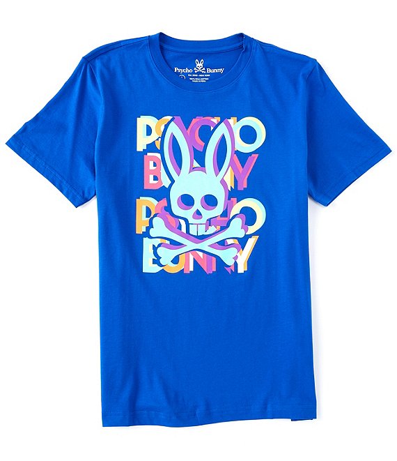 PSYCHO BUNNY - MENS HUDSON MULTICOLOR TEE - SAPHIRE