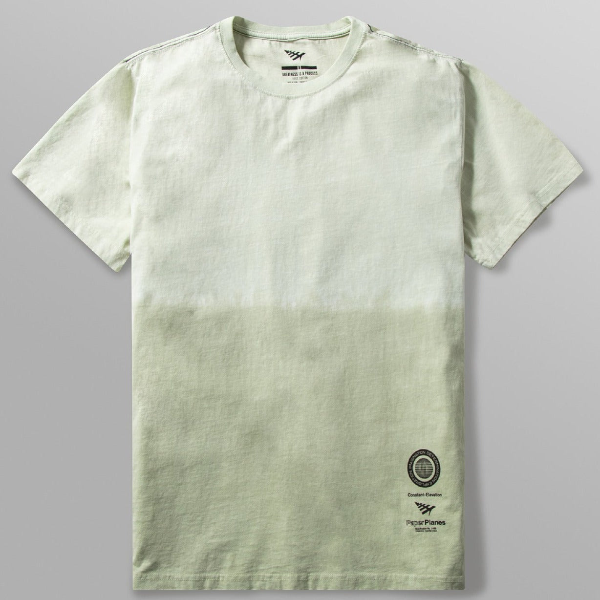 PAPER PLANES - GREATNESS WITHIN REACH TEE - SAGE