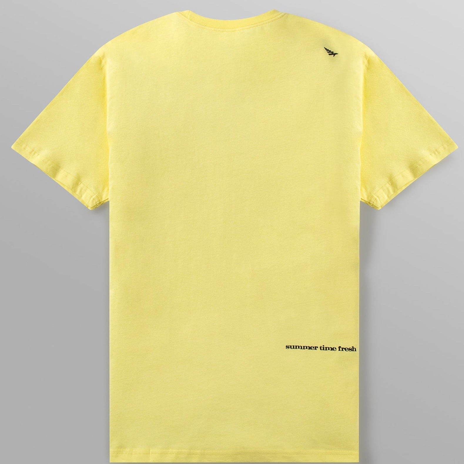 PAPER PLANES - DEAR SUMMER TEE
