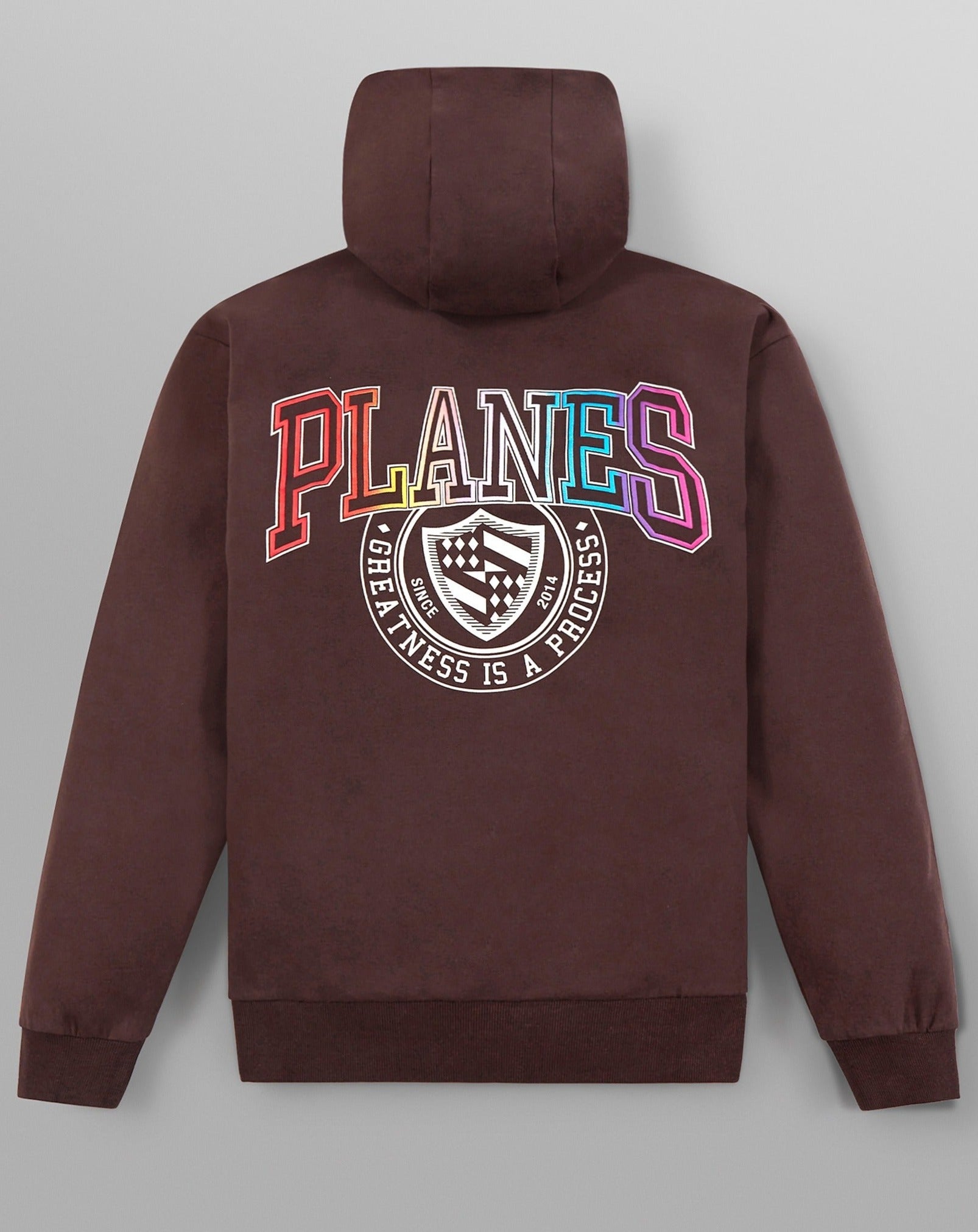 PAPER PLANES - COLLEGIATE SPECTRUM HALF ZIP HOODIE - COFFEE
